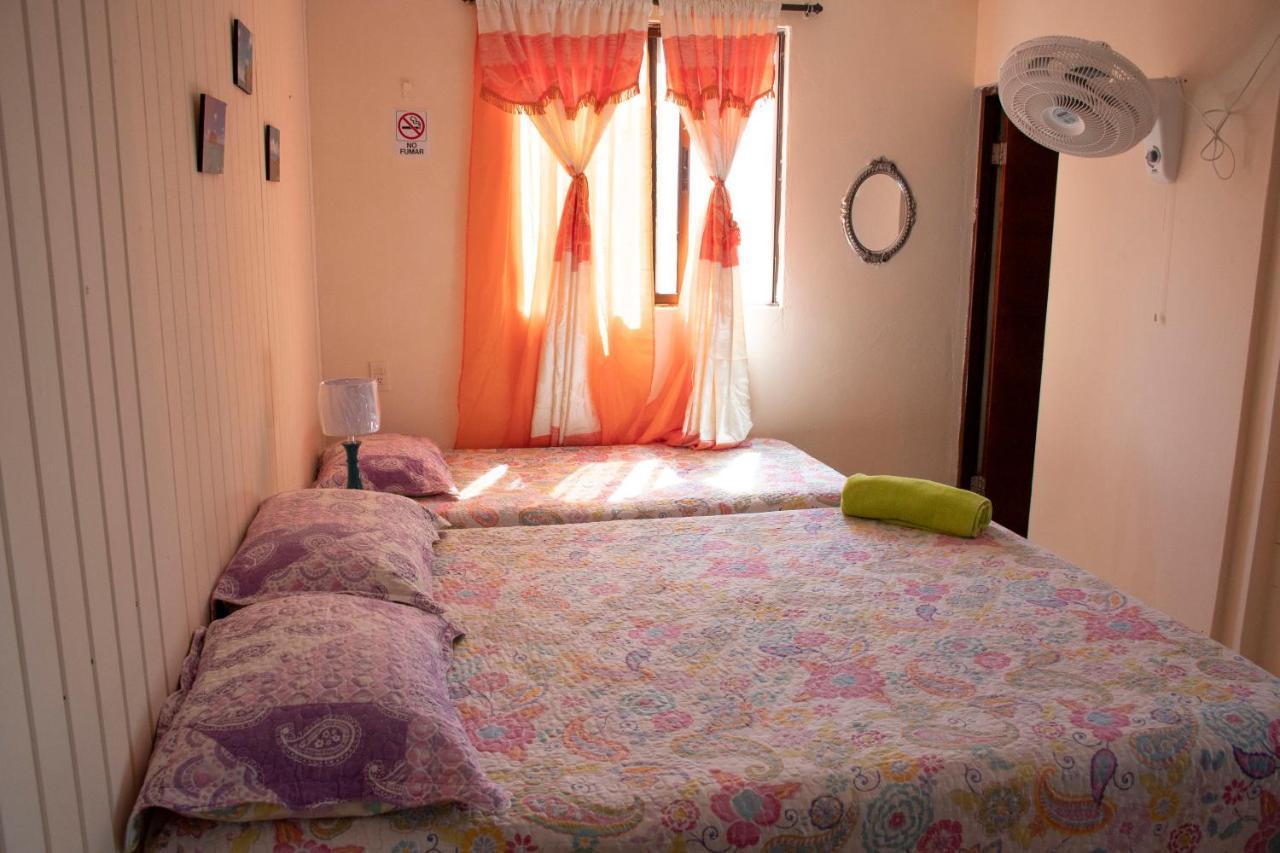 Apartment Sweet Anashly
